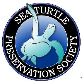 seaturtle